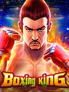 Explorando o Mundo de BoxingKing: Um Guia Completo